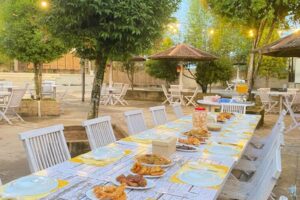 TBH-Galerii (1) TBH-Galerii (1)