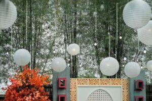 TBH-Galerii (14) TBH-Galerii (14)