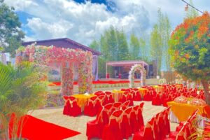 TBH-Galerii (4) TBH-Galerii (4)