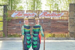 TBH-Galerii (5) TBH-Galerii (5)