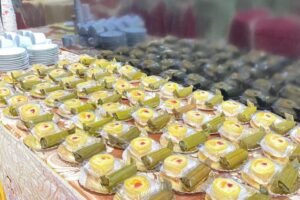 TBH-Galerii (6) TBH-Galerii (6)